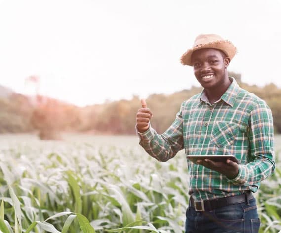 Decorative background