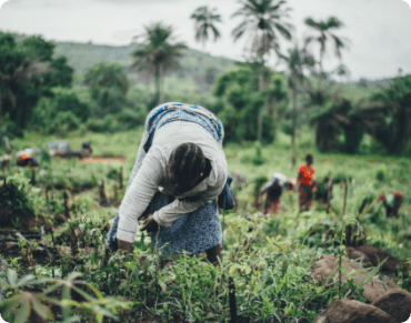 Blog Header Background